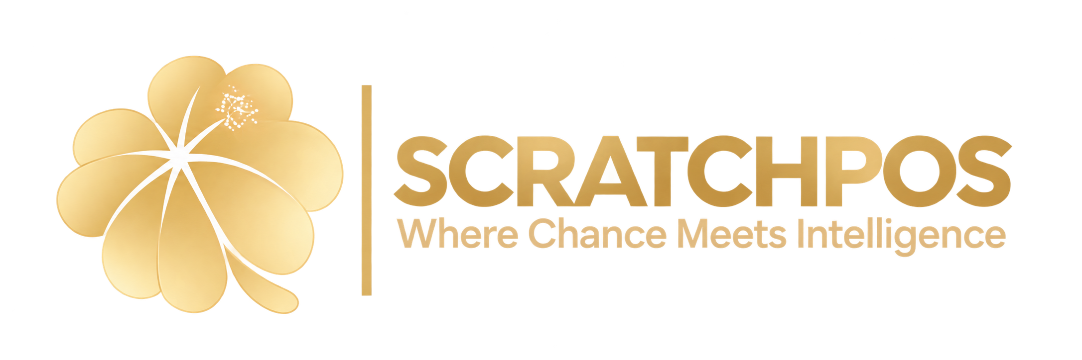 ScratchPOS